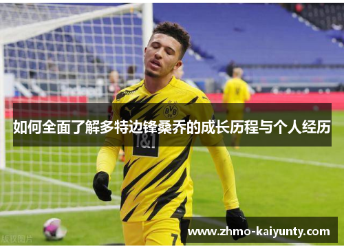 如何全面了解多特边锋桑乔的成长历程与个人经历 如何全面了解多特边锋桑乔的成长历程与个人经历