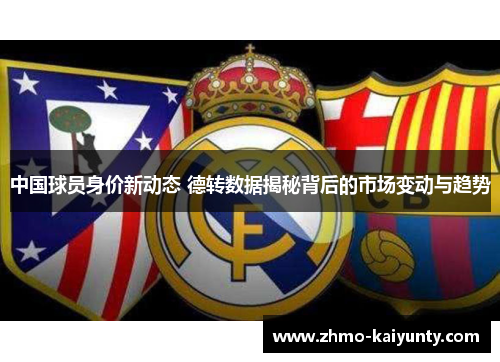 中国球员身价新动态 德转数据揭秘背后的市场变动与趋势 中国球员身价新动态 德转数据揭秘背后的市场变动与趋势