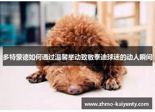 多特蒙德如何通过温馨举动致敬泰迪球迷的动人瞬间 多特蒙德如何通过温馨举动致敬泰迪球迷的动人瞬间