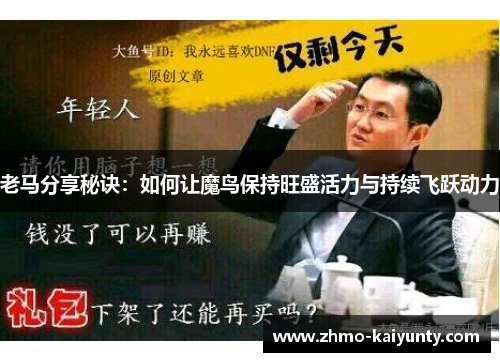 老马分享秘诀:如何让魔鸟保持旺盛活力与持续飞跃动力 老马分享秘诀:如何让魔鸟保持旺盛活力与持续飞跃动力