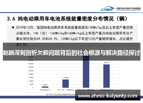 赵鹏深刻剖析欠薪问题背后的社会根源与解决路径探讨 赵鹏深刻剖析欠薪问题背后的社会根源与解决路径探讨