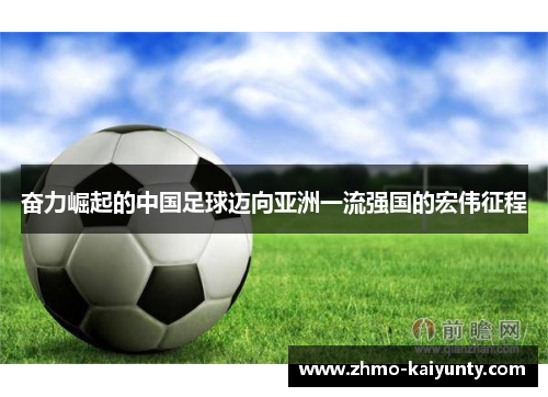 奋力崛起的中国足球迈向亚洲一流强国的宏伟征程 奋力崛起的中国足球迈向亚洲一流强国的宏伟征程